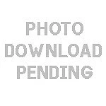 Gates for 84-91 BMW 325/e/es/i/iX/is M20 Performance Timing Belt - Image 1 of 3