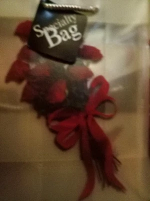 Bolso especial de vinilo transparente rojo rosa rojo lazo Foto 1 de 4