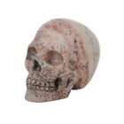 2" CHINESE PAINTING STONE Hand Carved Crystal Skull Realistic Crystal Healing