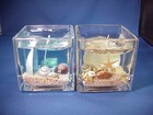 Seashells and Sea star Gel Candles set of 2, in square glass container together.