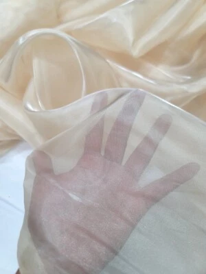 CRYSTAL ORGANZA ORGANDY Champagne Beige Fabric Sold By The Yard For Dress Silky  - Image 1 of 4