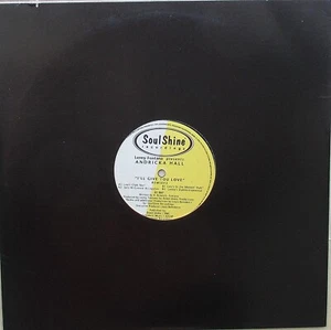 LENNY FONTANA Feat. ANDRICKA HALL - I'LL GIVE YOU LOVE 12" 33 4-MIX - EXCEL CON - Picture 1 of 1