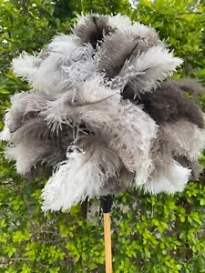 European ostrich feather dusters first grade feathers with Jumbo 75 grm feather - Picture 1 of 3