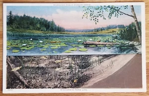 Wisconsin Pond Life Milwaukee Public Museum WI Postal Años 20 Sin Usar Detroit Pub - Imagen 1 de 1