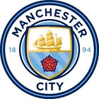 Set Of 5 Manchester City Football Club Crest Iron On PFor Fabric Materia