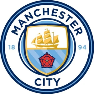 Juego de 5 parches de silicona de hierro para telas del Manchester City Football Club - Imagen 1 de 1