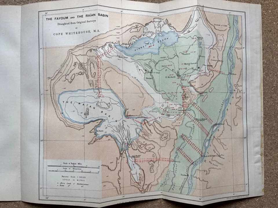 Antique map of the Farouk and Raïan Basin Egypt Faiyum Oasis 1887 — 第 1/4 张图片