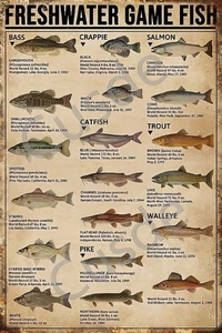 Freshwater Game Fish Tin Sign 8x12 Vintage Metal Wall Decor Retro Plaque - Picture 1 of 11