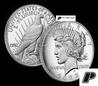 2023 S PROOF PEACE Silver Dollar Deep Cameo Coin w/ OGP *** Mr_Peet