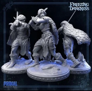 Walküre menschliche weibliche Miniaturen passt DND D&D Pathfinder Krieg Gaming Tabletop RPG - Bild 1 von 1