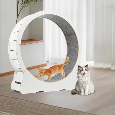 Katzenlaufrad Groß Cat Laufrad Klettergerüst Rad Cat Sport Laufband Katzen 110cm - Bild 1 von 4