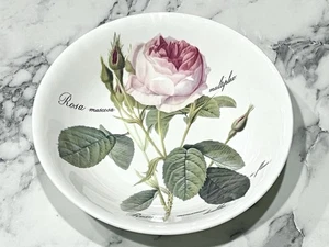 Roy Kirkham Redoute Roses Rosa Muscosa 7" flache botanische Schale hergestellt in England - Bild 1 von 7