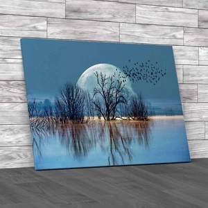 Silhouette Birds Full Moon Lone Dead Tree Nasa Canvas Print Large Picture Wall - Picture 1 of 12