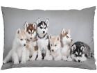 Throw Pillow Cover Siberian Husky Puppies Dog Art Lovely Pet Group Animal Ado...