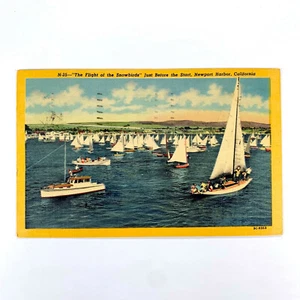 Postcard California Newport CA Harbor Sail Boat Race 1954 Posted Linen - Picture 1 of 2