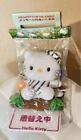 Hello Kitty Plush Toy With Message Changing Zebra Novelty