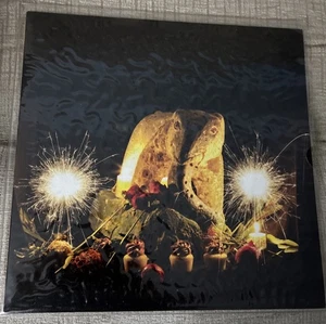 PETER BUCK (REM) SELF TITLED Vinyl LP - Picture 1 of 2