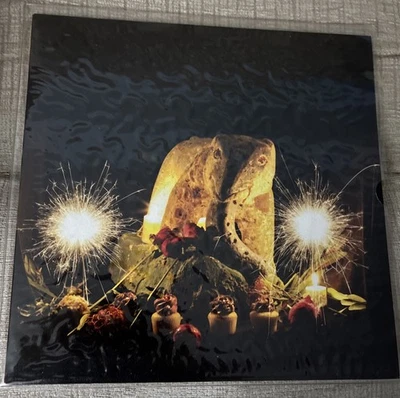 PETER BUCK (REM) SELF TITLED Vinyl LP - Image 1 of 2