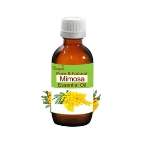Mimose Pure Natural Essential Oil Acacia decurrens by Bangota - Bild 1 von 4
