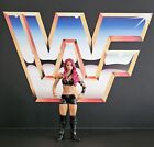 Wwe Mattel Basic First Time In The Line Nxt Sasha Banks Action Figure