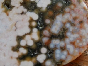 AAA OCEAN JASPER MEDALLION SLAB SLICE LAPIDARY CAB   6321 - Picture 1 of 7