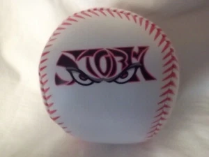 LAKE ELSINORE STORM - Picture 1 of 4