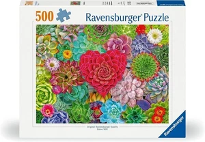 Rompecabezas Ravensburger 500 piezas - Amor suculento - Imagen 1 de 1