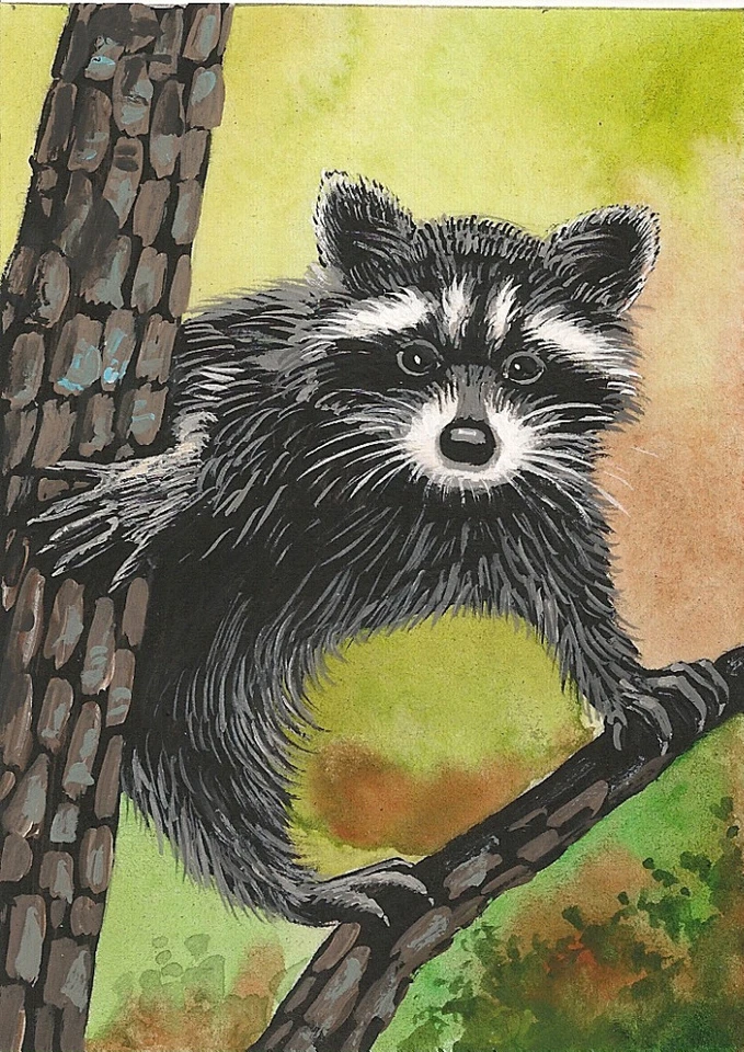 ACEO PRINT OF PAINTING RYTA RACCOON WILDLIFE PORTRAIT FOLK ART WHIMSICAL Garden