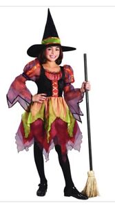 Child Fairy Witch Kids Size Large Costume