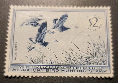 US Scott # RW22 - MNH-NG. Gansos azules Foto 1 de 2