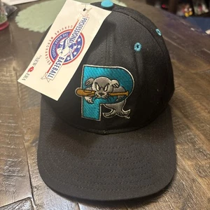 Vintage Portland Sea Dogs Hat Cap New Era Snap Back 90s MiLB Pro NWT Tag USA - Picture 1 of 11