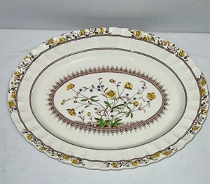 Spode Copeland BUTTERCUP 15" OVAL PLATTER - Picture 1 of 2