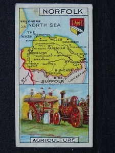 No.21 NORFOLK Counties and Their Industries (Numbered) by Players 1915 - Picture 1 of 1