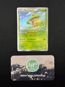 Ludicolo - 006/070 Pokemon Japanese XY5 Holo Rare Near Mint NM - Bild 1 von 1