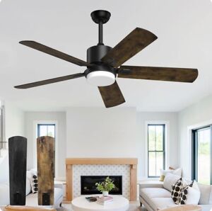 Biukis Ceiling Fans with Lights Remote 52-inch Modern Indoor Outdoor Matte Black