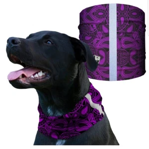 BUFANDA DE PAÑUELO ESCUDO DE CACHEMIRA PÚRPURA - Imagen 1 de 1
