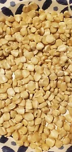 1/4 Lb. ( Approx.  275 Seed ) Hickory King White Field Corn Non GMO Heirloom - Picture 1 of 2