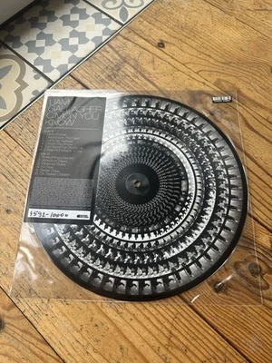 Liam Gallagher - C'mon You Know Zoetrope Vinyl LP Oasis Blood Records Picture - Bild 1 von 2