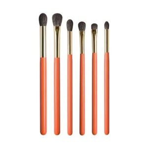 6pcs Eye Brushes Kit Blue Squirrel Goat Hair Pro Hand Crafted Makeup Brushes Set - Picture 1 of 9