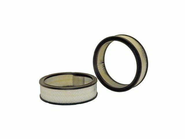 Filtro de aire WIX para Pontiac Grand LeMans 1980-1982 65WKDN Foto 1 de 1