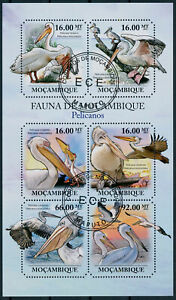 Mozambique 2011 CTO Birds on Stamps Pelicans Pelican 6v M/S