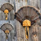 Turkey Fan & Beard Display Plaque Burnt Pine Stained Oak w/Hanger