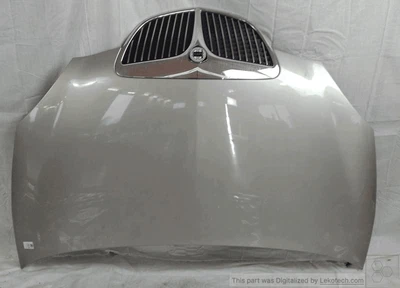 51872629 Cofano ant.  LANCIA YPSILON (TE) 1.2 16V Oro Ber. 3p/b/1242cc - Immagine 1 di 4