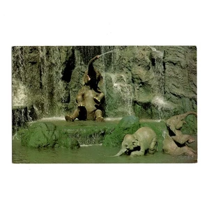 Postcard Elephant Bathing Pool Walt Disney World Unposted 1970s (Pls READ) - Picture 1 of 5