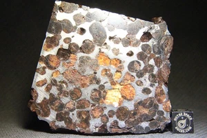 Sericho Pallasit Meteorit aus Kenia Afrika Habaswein groß 129 Gramm Teilscheibe - Bild 1 von 3