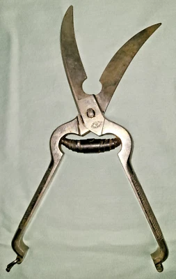 Vtg Ed. Wusthof Trident stainless poultry shears / scissors, Solingen Germany - Image 1 of 4