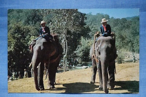 Elefantes preparándose para un desfile en Tailandia - Imagen 1 de 2