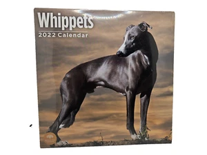 Whippets | 2022 Calender - Picture 1 of 3