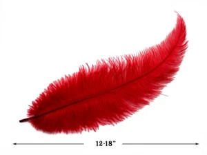 20 Plumas - Mini Palas Rojas Avestruz Pollo Ala Mardi Gras Centro de Halloween - Imagen 1 de 6