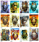 Owl / Owlet / 12 Aceo Le Prints Of Original Paintings By Sergej Hahonin